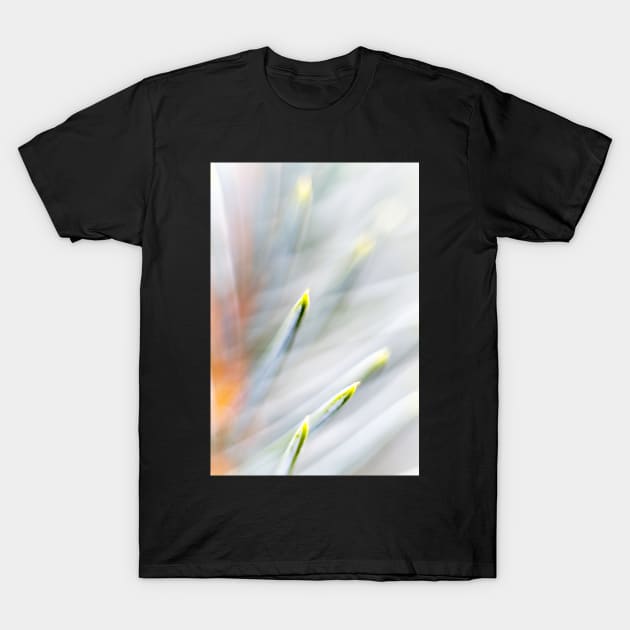 Lime green tipped pine needles T-Shirt by heidiannemorris